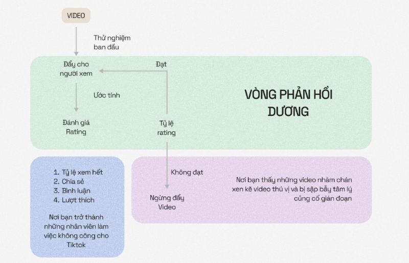 Học TikTok Ads